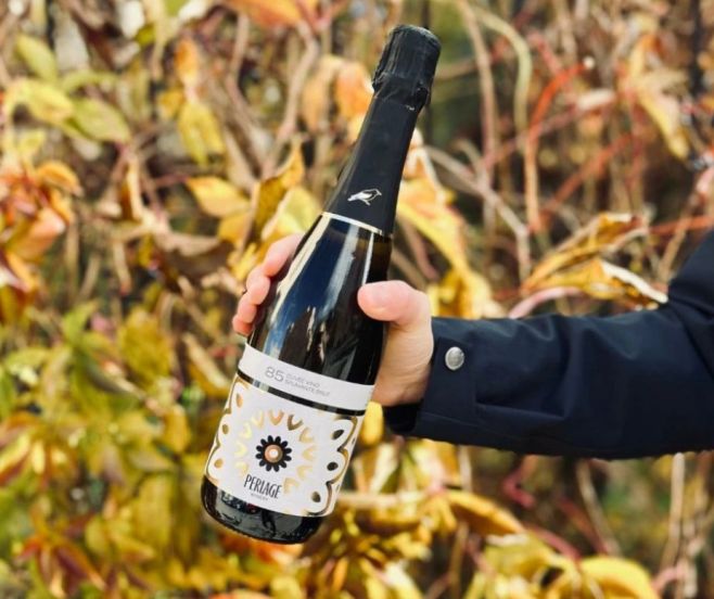 Keďže štvrtá Adventná nedeľa vychádza na dátum, kedy by sme vám už vaše objednávky asi nestihli doručiť, najväčší adventný...